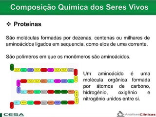 São moléculas formadas por dezenas, centenas ou milhares de
aminoácidos ligados em sequencia, como elos de uma corrente.
São polímeros em que os monômeros são aminoácidos.
 Proteínas
Um aminoácido é uma
molécula orgânica formada
por átomos de carbono,
hidrogênio, oxigênio e
nitrogênio unidos entre si.
 