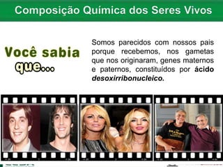 Somos parecidos com nossos pais
porque recebemos, nos gametas
que nos originaram, genes maternos
e paternos, constituídos por ácido
desoxirribonucleico.
 
