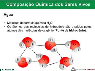 Água
• Molécula de fórmula química H2O;
• Os átomos das moléculas de hidrogênio são atraídos pelos
átomos das moléculas de oxigênio (Ponte de hidrogênio);
 