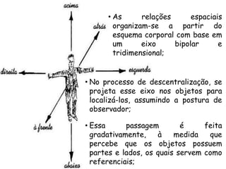 • As relações espaciais
organizam-se a partir do
esquema corporal com base em
um eixo bipolar e
tridimensional;
• No processo de descentralização, se
projeta esse eixo nos objetos para
localizá-los, assumindo a postura de
observador;
• Essa passagem é feita
gradativamente, à medida que
percebe que os objetos possuem
partes e lados, os quais servem como
referenciais;
 