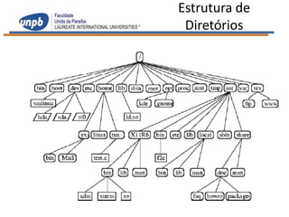 Estrutura de
 Diretórios
 