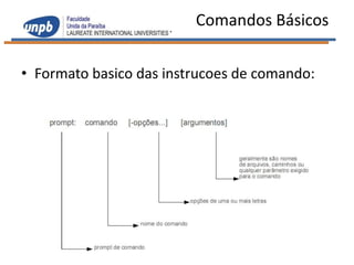 Comandos Básicos

• Formato basico das instrucoes de comando:
 
