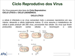 Ciclo Reprodutivo dos Vírus
Os Vírus possuem dois tipos de Ciclo Reprodutivo:
CICLO LÍTICO e CICLO LISOGÊNICO.
CICLO LÍTICO
a célula é infectada e os vírus comandam todo o processo reprodutivo em seu
interior, deixando a célula totalmente inativa. O vírus assume o metabolismo da
célula e pode produzir até 200 vírus, provocando lise celular. Os vírus que foram
produzidos atacam outras células e recomeçam o ciclo
 