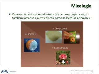Micologia
 Possuem tamanhos consideráveis, tais como os cogumelos, e
também tamanhos microscópicos, como as leveduras e bolores.
 