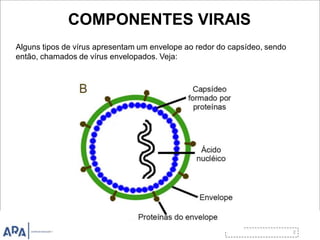 COMPONENTES VIRAIS
Alguns tipos de vírus apresentam um envelope ao redor do capsídeo, sendo
então, chamados de vírus envelopados. Veja:
 