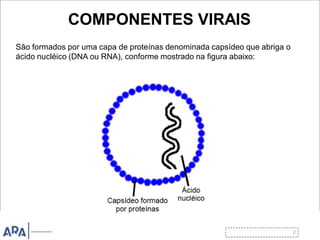 COMPONENTES VIRAIS
São formados por uma capa de proteínas denominada capsídeo que abriga o
ácido nucléico (DNA ou RNA), conforme mostrado na figura abaixo:
 