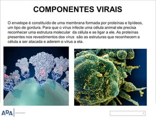 COMPONENTES VIRAIS
O envelope é constituído de uma membrana formada por proteínas e lipídeos,
um tipo de gordura. Para que o vírus infecte uma célula animal ele precisa
reconhecer uma estrutura molecular da célula e se ligar a ele. As proteínas
presentes nos revestimentos dos vírus são as estruturas que reconhecem a
célula a ser atacada e aderem o vírus a ela.
 