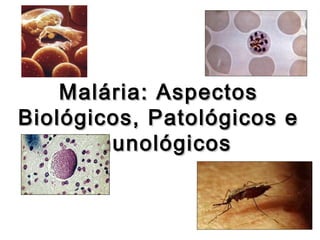 Malária: AspectosMalária: Aspectos
Biológicos, Patológicos eBiológicos, Patológicos e
ImunológicosImunológicos
 