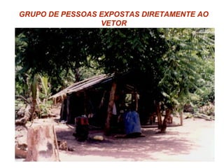 GRUPO DE PESSOAS EXPOSTAS DIRETAMENTE AO
VETOR
 