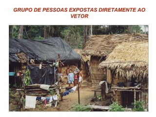 GRUPO DE PESSOAS EXPOSTAS DIRETAMENTE AO
VETOR
 