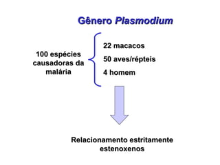 GêneroGênero PlasmodiumPlasmodium
100 espécies100 espécies
causadoras dacausadoras da
maláriamalária
22 macacos22 macacos
50 aves/répteis50 aves/répteis
4 homem4 homem
Relacionamento estritamenteRelacionamento estritamente
estenoxenosestenoxenos
 