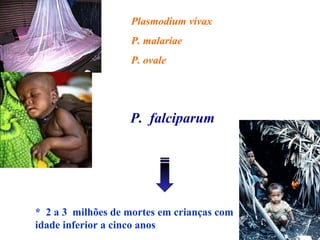 Plasmodium vivax
P. malariae
P. ovale
* 2 a 3 milhões de mortes em crianças com
idade inferior a cinco anos
P. falciparum
 