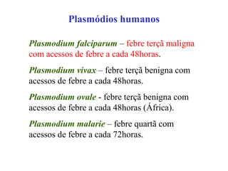 Plasmódios humanos
Plasmodium falciparum – febre terçã maligna
com acessos de febre a cada 48horas.
Plasmodium vivax – febre terçã benigna com
acessos de febre a cada 48horas.
Plasmodium ovale - febre terçã benigna com
acessos de febre a cada 48horas (África).
Plasmodium malarie – febre quartã com
acessos de febre a cada 72horas.
 