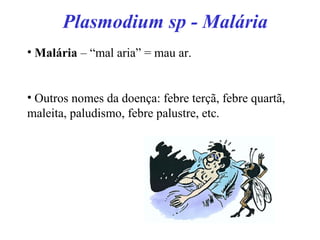 Plasmodium sp - Malária
• Malária – “mal aria” = mau ar.
• Outros nomes da doença: febre terçã, febre quartã,
maleita, paludismo, febre palustre, etc.
 