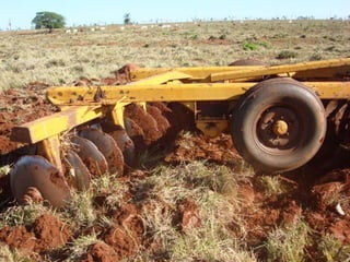 PREPARO PERIÓDICO DO SOLO
 PREPARO PERIÓDICO SECUNDÁRIO:
 