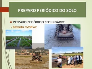 PREPARO PERIÓDICO DO SOLO
 PREPARO PERIÓDICO SECUNDÁRIO:
- Enxada rotativa:
 