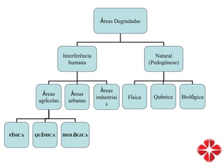 Áreas Degradadas
Interferência
humana
Natural
(Pedogênese)
Áreas
agrícolas
Áreas
urbanas
Áreas
industriai
s
Física Biológica
Química
FÍSICA QUÍMICA BIOLÓGICA
 