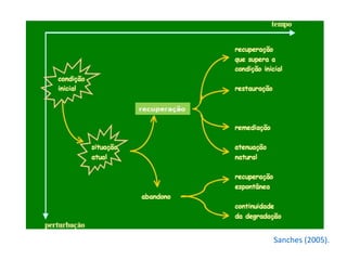 Sanches (2005).
 