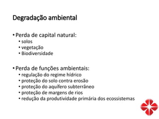 Degradação ambiental
•Perda de capital natural:
• solos
• vegetação
• Biodiversidade
•Perda de funções ambientais:
• regulação do regime hídrico
• proteção do solo contra erosão
• proteção do aquífero subterrâneo
• proteção de margens de rios
• redução da produtividade primária dos ecossistemas
 