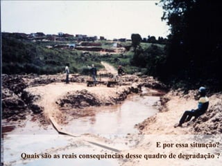 E por essa situação?
Quais são as reais consequências desse quadro de degradação ?
 