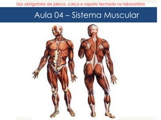 Aula 04 – Sistema Muscular
Uso obrigatorio de jaleco, calça e sapato fechado no laboratório
 