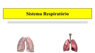 Sistema Respiratório
 