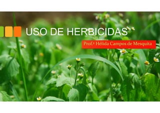 USO DE HERBICIDAS
Prof.ª Hélida Campos de Mesquita
 