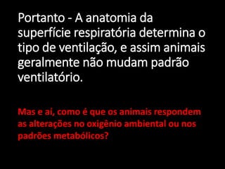 Portanto - A anatomia da
superfície respiratória determina o
tipo de ventilação, e assim animais
geralmente não mudam padrão
ventilatório.
Mas e aí, como é que os animais respondem
as alterações no oxigênio ambiental ou nos
padrões metabólicos?
 
