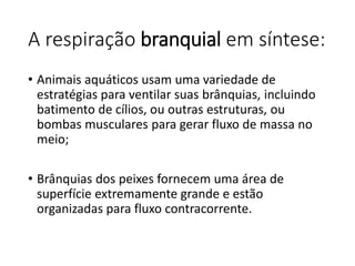 A respiração branquial em síntese:
• Animais aquáticos usam uma variedade de
estratégias para ventilar suas brânquias, incluindo
batimento de cílios, ou outras estruturas, ou
bombas musculares para gerar fluxo de massa no
meio;
• Brânquias dos peixes fornecem uma área de
superfície extremamente grande e estão
organizadas para fluxo contracorrente.
 