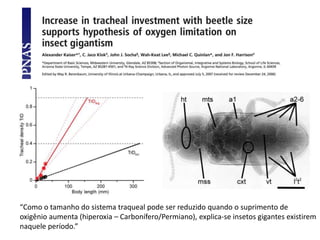 “Como o tamanho do sistema traqueal pode ser reduzido quando o suprimento de
oxigênio aumenta (hiperoxia – Carbonífero/Permiano), explica-se insetos gigantes existirem
naquele período.”
 