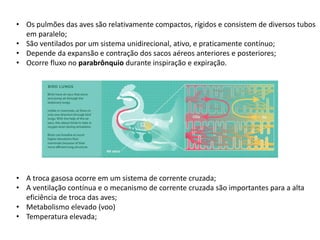 • Os pulmões das aves são relativamente compactos, rígidos e consistem de diversos tubos
em paralelo;
• São ventilados por um sistema unidirecional, ativo, e praticamente contínuo;
• Depende da expansão e contração dos sacos aéreos anteriores e posteriores;
• Ocorre fluxo no parabrônquio durante inspiração e expiração.
• A troca gasosa ocorre em um sistema de corrente cruzada;
• A ventilação contínua e o mecanismo de corrente cruzada são importantes para a alta
eficiência de troca das aves;
• Metabolismo elevado (voo)
• Temperatura elevada;
 