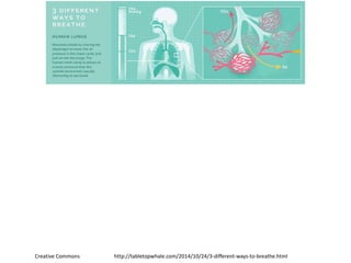http://tabletopwhale.com/2014/10/24/3-different-ways-to-breathe.htmlCreative Commons
 