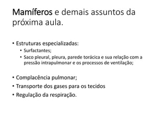 Mamíferos e demais assuntos da
próxima aula.
• Estruturas especializadas:
• Surfactantes;
• Saco pleural, pleura, parede torácica e sua relação com a
pressão intrapulmonar e os processos de ventilação;
• Complacência pulmonar;
• Transporte dos gases para os tecidos
• Regulação da respiração.
 