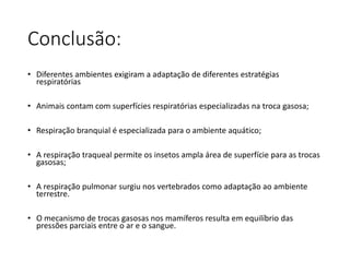 Conclusão:
• Diferentes ambientes exigiram a adaptação de diferentes estratégias
respiratórias
• Animais contam com superfícies respiratórias especializadas na troca gasosa;
• Respiração branquial é especializada para o ambiente aquático;
• A respiração traqueal permite os insetos ampla área de superfície para as trocas
gasosas;
• A respiração pulmonar surgiu nos vertebrados como adaptação ao ambiente
terrestre.
• O mecanismo de trocas gasosas nos mamíferos resulta em equilíbrio das
pressões parciais entre o ar e o sangue.
 