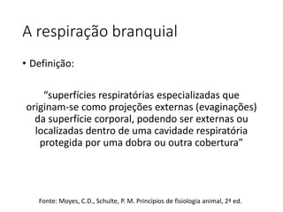 A respiração branquial
• Definição:
“superfícies respiratórias especializadas que
originam-se como projeções externas (evaginações)
da superfície corporal, podendo ser externas ou
localizadas dentro de uma cavidade respiratória
protegida por uma dobra ou outra cobertura”
Fonte: Moyes, C.D., Schulte, P. M. Princípios de fisiologia animal, 2ª ed.
 