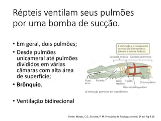Répteis ventilam seus pulmões
por uma bomba de sucção.
• Em geral, dois pulmões;
• Desde pulmões
unicameral até pulmões
divididos em várias
câmaras com alta área
de superfície;
• Brônquio.
• Ventilação bidirecional
Fonte: Moyes, C.D., Schulte, P. M. Princípios de fisiologia animal, 2ª ed. Fig 9.16
 