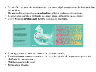 • Os pulmões das aves são relativamente compactos, rígidos e consistem de diversos tubos
em paralelo;
• São ventilados por um sistema unidirecional, ativo, e praticamente contínuo;
• Depende da expansão e contração dos sacos aéreos anteriores e posteriores;
• Ocorre fluxo no parabrônquio durante inspiração e expiração.
• A troca gasosa ocorre em um sistema de corrente cruzada;
• A ventilação contínua e o mecanismo de corrente cruzada são importantes para a alta
eficiência de troca das aves;
• Metabolismo elevado (voo)
• Temperatura elevada;
 