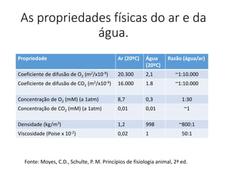 As propriedades físicas do ar e da
água.
Propriedade Ar (20ºC) Água
(20ºC)
Razão (água/ar)
Coeficiente de difusão de O2 (m2/x10-9) 20.300 2,1 ~1:10.000
Coeficiente de difusão de CO2 (m2/x10-9) 16.000 1.8 ~1:10.000
Concentração de O2 (mM) (a 1atm) 8,7 0,3 1:30
Concentração de CO2 (mM) (a 1atm) 0,01 0,01 ~1
Densidade (kg/m3) 1,2 998 ~800:1
Viscosidade (Poise x 10-2) 0,02 1 50:1
Fonte: Moyes, C.D., Schulte, P. M. Princípios de fisiologia animal, 2ª ed.
 