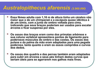 Aula 04_09_Evolucao-humana.ppt, caracteristicas humanas, Pangeia, | PPT