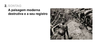 A paisagem moderna
destrutiva e a seu registro
2. SONTAG
 