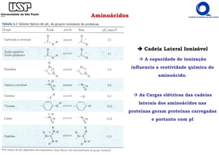 Aminoácidos
Cadeia Lateral Ionizável
A capacidade de ionização
influencia a reatividade química do
aminoácido.
As Cargas elétricas das cadeias
laterais dos aminoácidos nas
proteínas geram proteínas carregadas
e portanto com pI
 