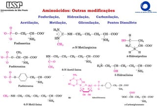 Aminoácidos: Outras modificações
Fosforilação, Hidroxilação, Carboxilação,
Acetilação, Metilação, Glicosilação, Pontes Dissulfeto
 