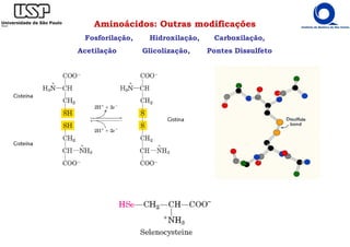 Aminoácidos: Outras modificações
Fosforilação, Hidroxilação, Carboxilação,
Acetilação Glicolização, Pontes Dissulfeto
 