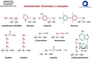 Aminoácidos: Derivados e variações
 