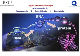Dogma central da Biologia
A Informação é:
Armazenada Decodificada Executada
 