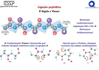 Ligação peptídica
É Rígida e Planar
Conformação Trans é favorecida por
reduzir choques estéricos entre os grupos R
Restrição
conformacional
angulação Phi e Psi
Estrutura
tridimensional
- Exceto para a Prolina, choques
ocorrem em ambas conformações
 