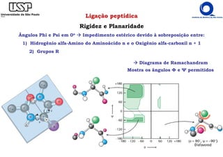 Ligação peptídica
Rigidez e Planaridade
Ângulos Phi e Psi em 0o Impedimento estérico devido à sobreposição entre:
1) Hidrogênio alfa-Amino do Aminoácido n e o Oxigênio alfa-carboxil n + 1
2) Grupos R
Diagrama de Ramachandram
Mostra os ângulos Φ e Ψ permitidos
 