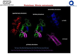 Proteínas: Níveis estruturais
 