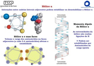 Hélice α
Interações entre cadeias laterais adjacentes podem estabilizar ou desestabilizar a Hélice α
Hélice α e suas faces
Volume e carga dos aminoácidos na faces
adjacentes (a cada 3-4 aminoácidos) afetam a
estabilidade
Momento dipolo
da Hélice α
As extremidades da
hélice não realiza
ligações de H
Podem ser
estabilizadas por
Aminoácidos de
carga oposta
 