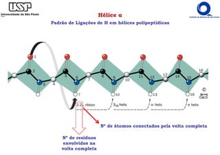 Hélice α
Padrão de Ligações de H em hélices polipeptídicas
Nº de resíduos
envolvidos na
volta completa
Nº de átomos conectados pela volta completa
 